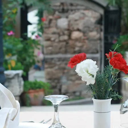 Dogan
