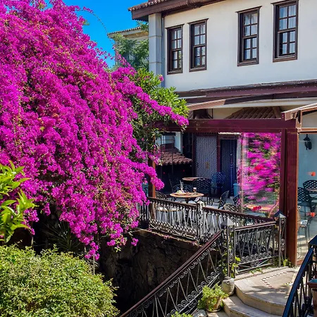 Dogan 3* Antalya